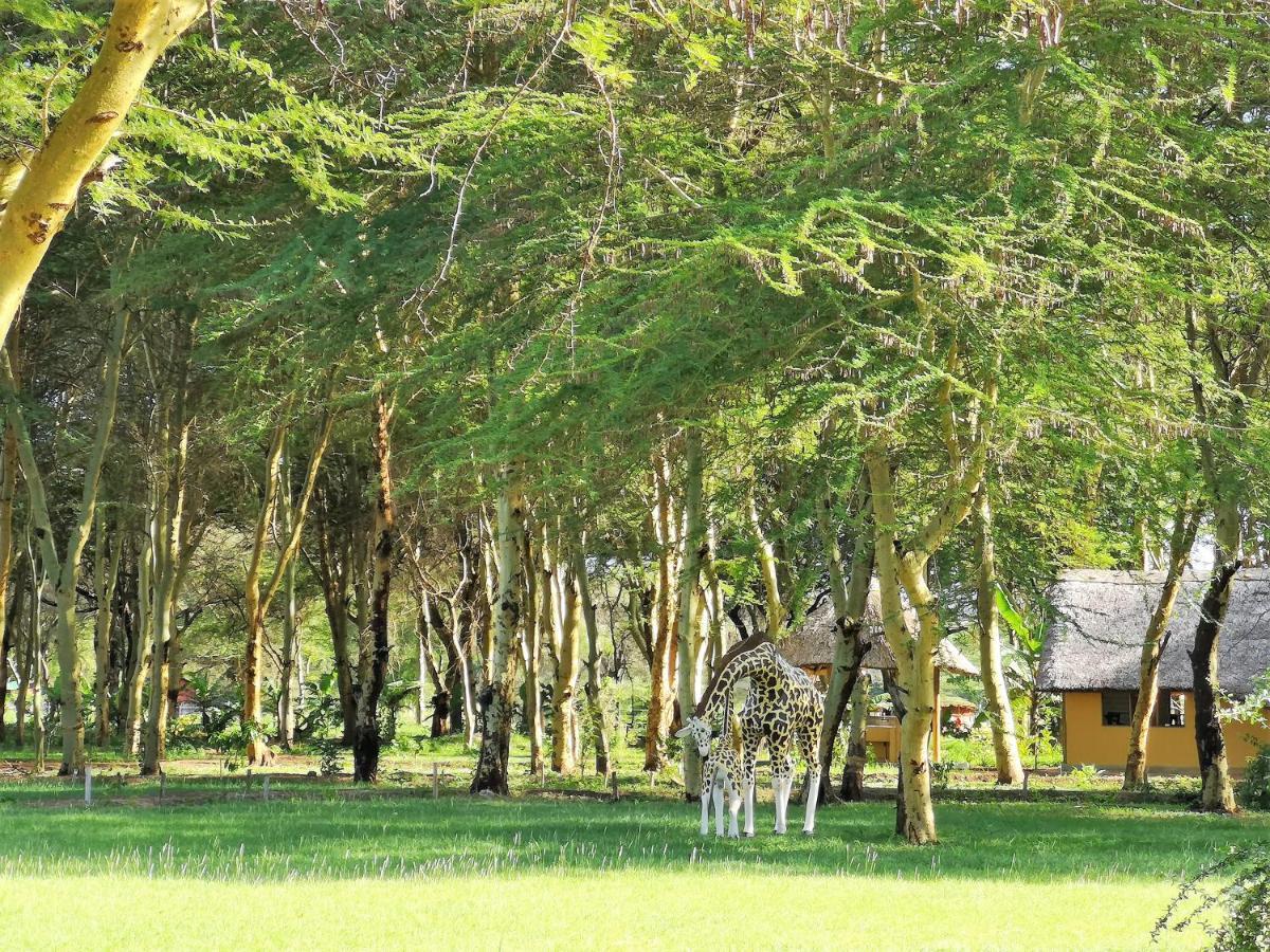 Africa Safari Camping Мто уа Мбу Екстериор снимка